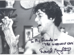 David Naughton