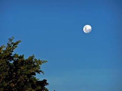 Summer Moon